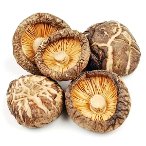 بذرقارچ شیتاکه