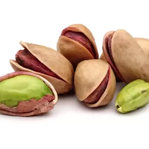 نهال پسته پیوندی